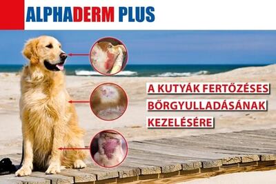 Alphaderm esetleírások