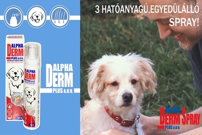 Spray a kutyák fertőzéses bőrgyulladására